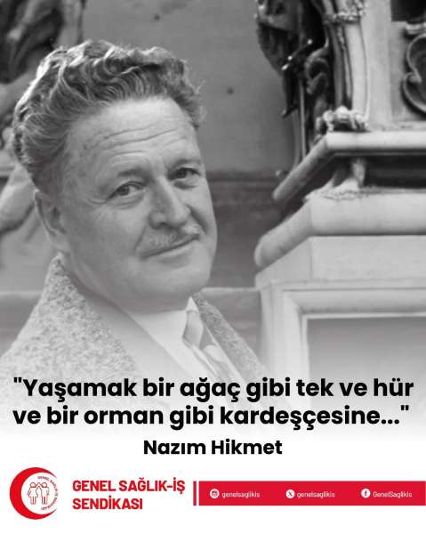 NAZIM HİKMET MEMLEKET, MEMLEKET NAZIM HİKMET