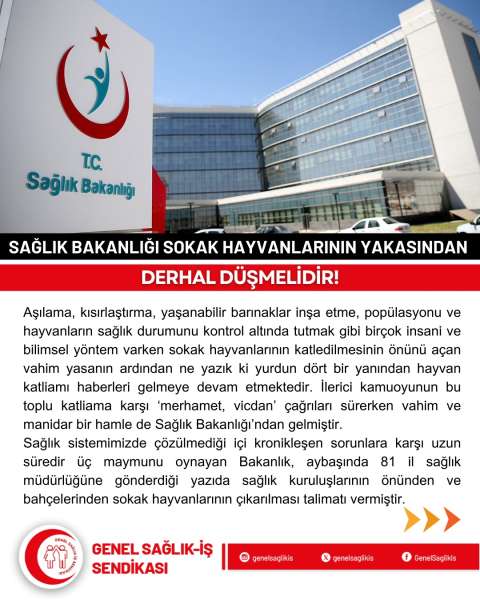 SAĞLIK BAKANLIĞI SOKAK HAYVANLARININ YAKASINDAN DERHAL DÜŞMELİDİR