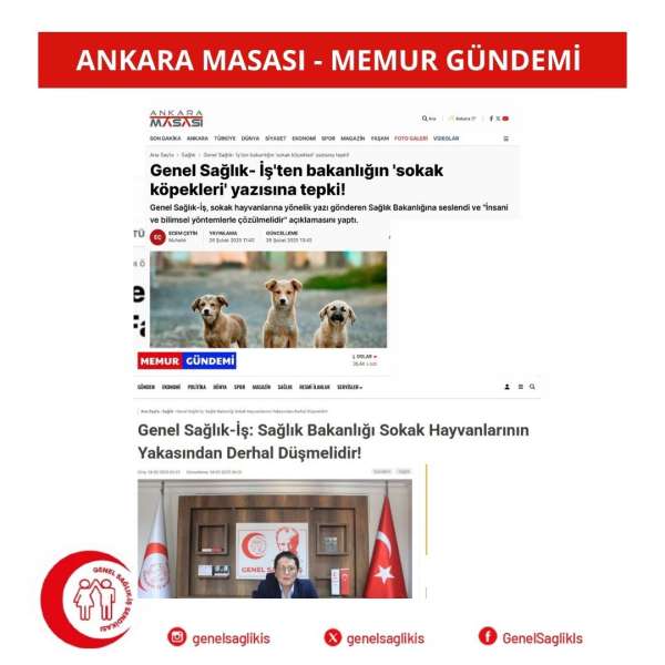 Genel Sağlık- İş'ten bakanlığın 'sokak köpekleri' yazısına tepki!